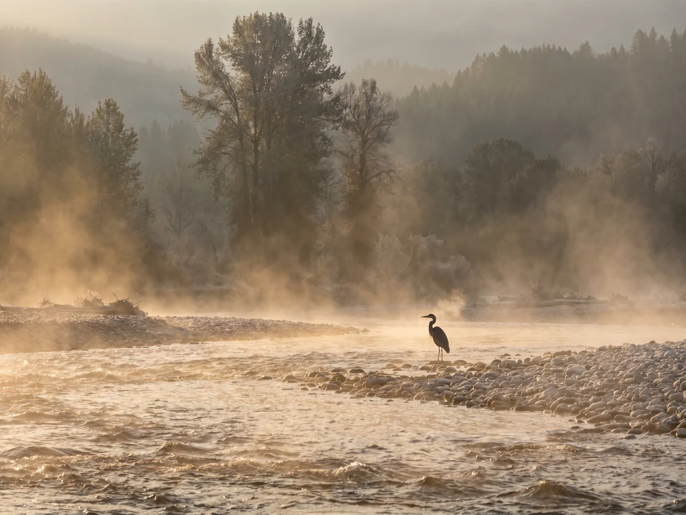 Spring Creek Precision — fishing (gallery)